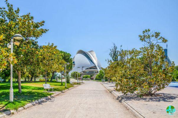 Visit Valencia in Spain: What to do and see in Valencia?
