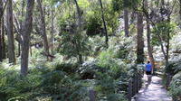 Self-Guided Waterfall Gully to Mount Lofty Hike from Adelaide