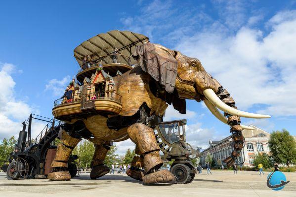 What to see and do in Nantes? The 9 essential visits!