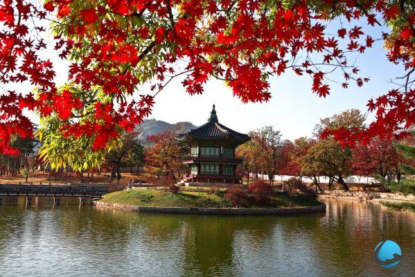 Why visit South Korea, the land of the morning calm?