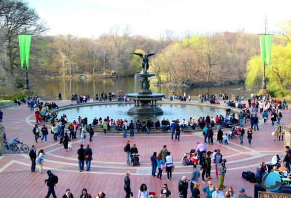 Visit Central Park: nature in the heart of New York