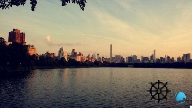 Visite o Central Park: natureza no coração de Nova York