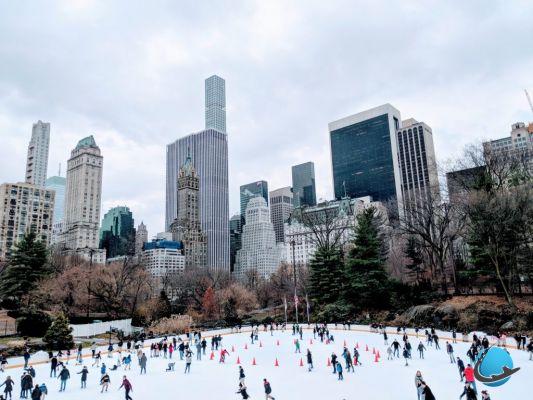 Visit Central Park: nature in the heart of New York
