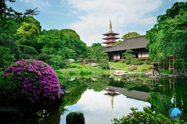 Tokio: lo imprescindible antes de visitar la ciudad japonesa