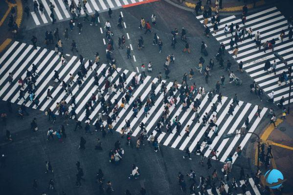 Tóquio: o essencial antes de visitar a cidade japonesa