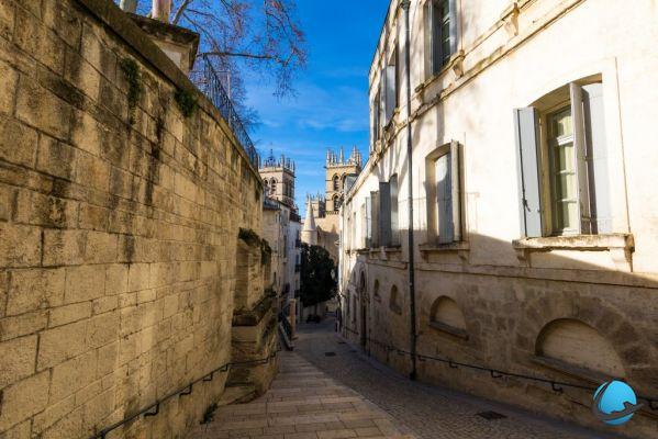 ¿Qué ver y hacer en Montpellier? ¡6 visitas imperdibles!