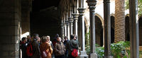 Guided Morning Walking Tour of Barcelona's Gothic Quarter
