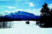 Tour de invierno: Banff y su fauna