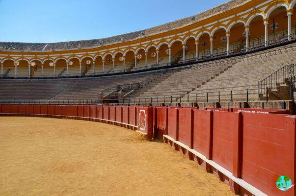 Visit Seville: What to do and see in Seville?