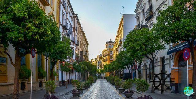 Visita Siviglia: cosa fare e vedere a Siviglia?