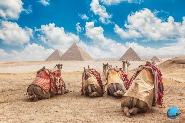 ¿Dónde ir y qué ver en Egipto? (El Cairo, Luxor, Alejandría, Sharm el-Sheikh)