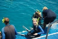 Cruzeiro de mergulho com snorkel e mergulho na Grande Barreira de Corais saindo de Cairns