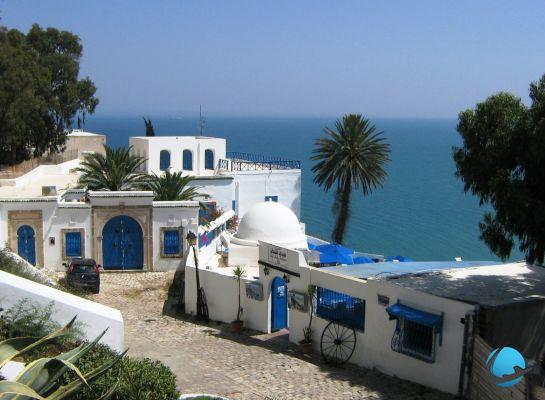 7 visitas para hacer en Carthage y Sidi Bou Saïd
