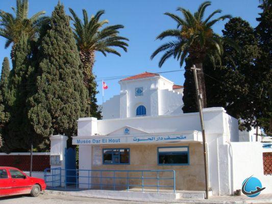 7 visits to do in Carthage and Sidi Bou Saïd