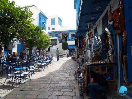 7 visits to do in Carthage and Sidi Bou Saïd