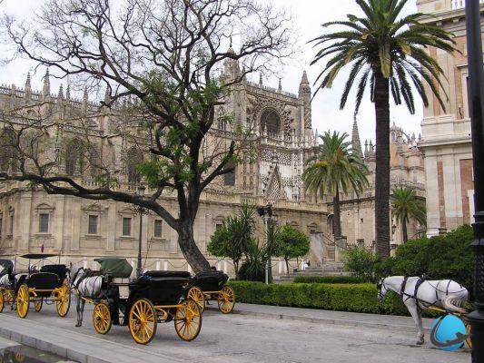 Visit Seville: all you need to know before you go