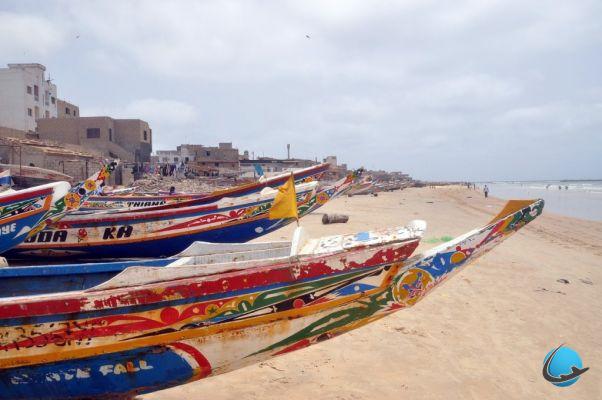 Perché scegliere il Senegal per un'avventura africana?