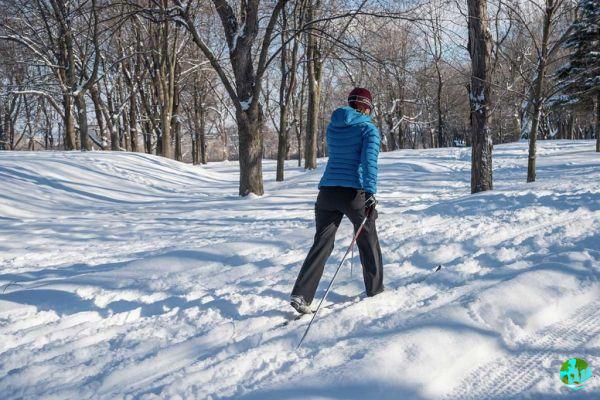 21 attività da fare in inverno in Quebec