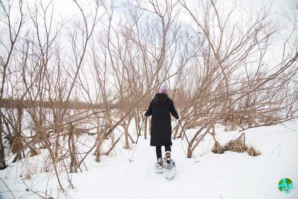 21 atividades para fazer no inverno em Quebec