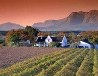 Tour del vino di un'intera giornata di Stellenbosch, Franschhoek e Paarl Valley