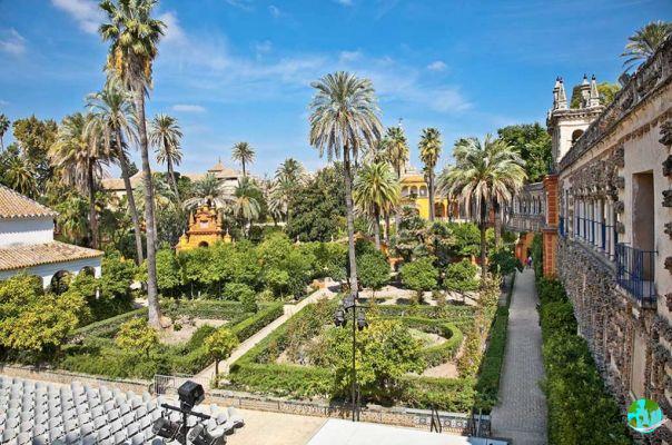 Visit the Alcazar of Seville
