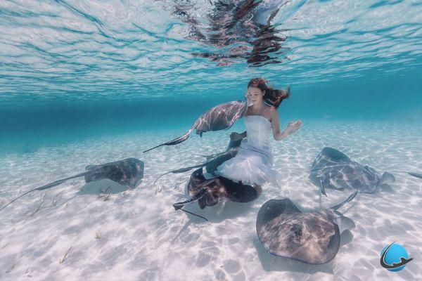 Discover the Bahamas differently with Sacha Kalis
