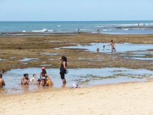 Praia do Forte – Dos coqueiros à proteção das tartarugas