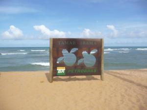 Praia do Forte – De los cocoteros a la protección de las tortugas