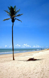 La playa Cumbuco de Fortaleza