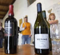 Tour privado: tour del valle de Yarra y cata de vinos