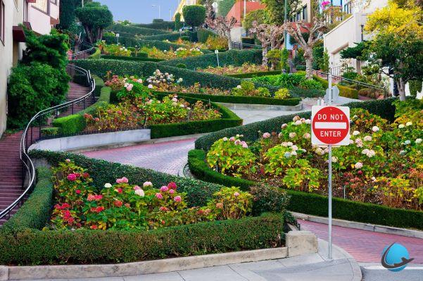 Learn all about Lombard Street, the most beautiful street in San Francisco!