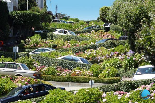 Learn all about Lombard Street, the most beautiful street in San Francisco!