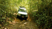 Half-Day 4WD Rainforest and Waterfalls Tour of Barron Gorge and Kuranda National Park from Cairns