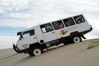 Port Stephens and Nelson Bay 4WD Adventure Tour Including Dolphin Cruise