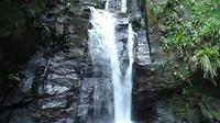 Horto Waterfalls Adventure in Tijuca National Park