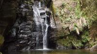 Aventura nas Cachoeiras do Horto no Parque Nacional da Tijuca