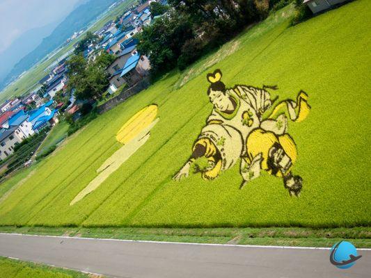 Japón: los increíbles campos de arroz de Inakadate