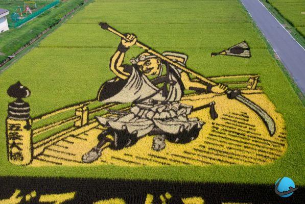Japão: os incríveis campos de arroz de Inakadate