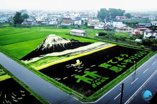 Giappone: le incredibili risaie di Inakadate