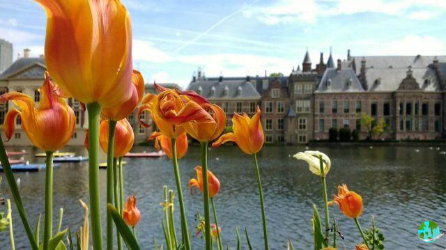 Clima en La Haya: cuando ir