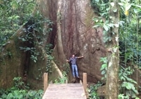 Reserva de selva tropical y parque de aventuras Cinco Ceibas desde San José