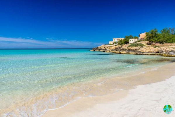 Visit Majorca: What to do on the largest of the Balearic Islands?
