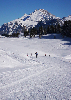 Estadias na montanha: esqui cross-country e caminhadas também