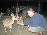 Safari noturno no zoológico de Cairns e jantar de churrasco