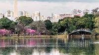 Visita guidata d'arte e visita culturale a piedi del Parco Ibirapuera