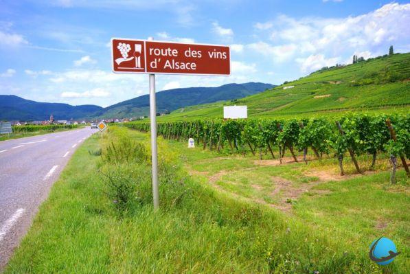 Turismo e vinho: 4 maneiras de descobrir as nossas vinhas com o enoturismo