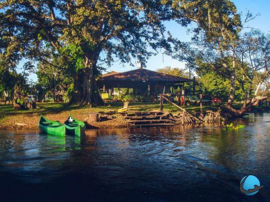 Ecoturismo en Brasil: explora el Pantanal