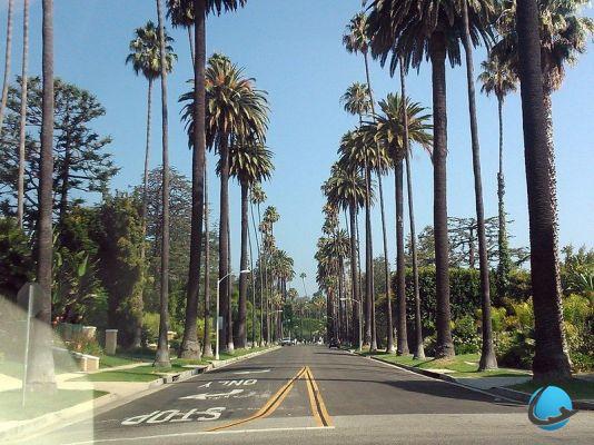 Why visit Los Angeles? Stars, beaches and shopping sprees!