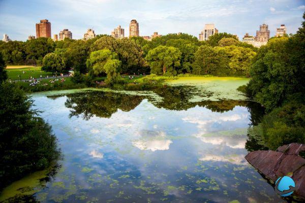 Visiting New York: our practical advice for your stay!