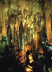 Excursión privada: excursión de un día a la costa tropical y las cuevas de Nerja desde Granada
